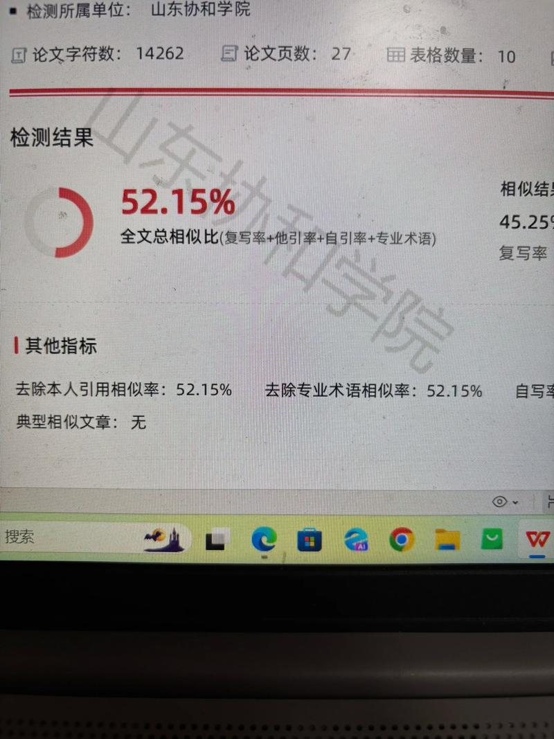 论文查重:从学术规范到数据安全